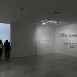 33_questions_monterrey_2019_ro_004 : Landscape