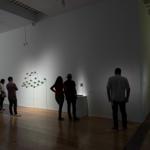 33_questions_monterrey_2019_ro_027 : Landscape