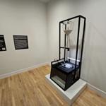 a_crack_in_the_hourglass_davidson_2024_rlh_014 : Landscape