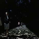 arkansas_text_stream_bentonville_2023_si_043 : Landscape