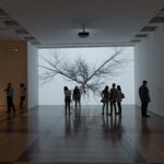 bifurcation_monterrey_2019_ro_007 : Landscape