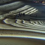 dune_ringers_abu_dhabi_2023_oa_0751 : Landscape