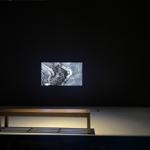 hormonium_porto_alegre_2022_rlh_001 : Landscape