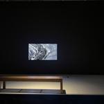hormonium_porto_alegre_2022_rlh_002 : Landscape