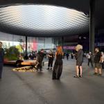 pulse_agglomerate_basel_2026_rlh_007 : Landscape