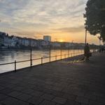 pulse_agglomerate_basel_2026_rlh_034 : Landscape