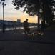 pulse_agglomerate_basel_2026_rlh_036 : Landscape