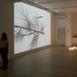 pulse_agglomerate_montreal_2024_rlh_008 : Landscape