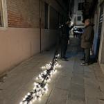 pulse_agglomerate_venice_2024_rlh_4055 : Portrait