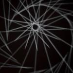 pulse_canopy_al_ain_2025_rlh_014 : Landscape