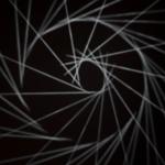 pulse_canopy_al_ain_2025_rlh_016 : Landscape