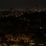 pulse_garden_mexico_city_2026_jh_004 : Landscape