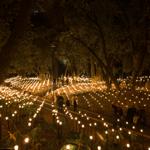 pulse_garden_mexico_city_2026_jh_009 : Landscape