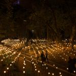 pulse_garden_mexico_city_2026_jh_010 : Landscape