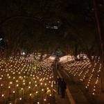 pulse_garden_mexico_city_2026_jh_011 : Landscape