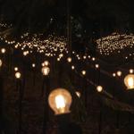 pulse_garden_mexico_city_2026_jh_016 : Landscape