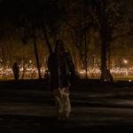 pulse_garden_mexico_city_2026_jh_021 : Landscape