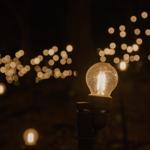 pulse_garden_mexico_city_2026_jh_024 : Landscape