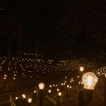 pulse_garden_mexico_city_2026_jh_032 : Landscape