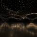 pulse_topology_basel_2022_rlh_01 : Landscape
