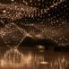 pulse_topology_nyc_2022_pg_001 : Landscape