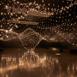 pulse_topology_nyc_2022_pg_002 : Landscape
