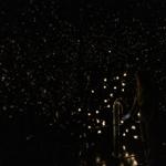 pulse_voronoi_2024_wattens_sk_011 : Landscape