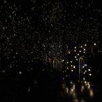 pulse_voronoi_2024_wattens_sk_019 : Landscape