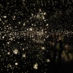 pulse_voronoi_2024_wattens_sk_036 : Landscape