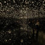 pulse_voronoi_2024_wattens_sk_037 : Landscape