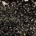 pulse_voronoi_2024_wattens_sk_080 : Landscape