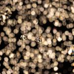 pulse_voronoi_2024_wattens_sk_090 : Landscape