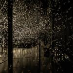 pulse_voronoi_2024_wattens_sk_097 : Landscape