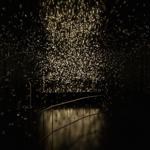 pulse_voronoi_2024_wattens_sk_120 : Landscape