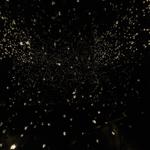 pulse_voronoi_2024_wattens_sk_129 : Landscape