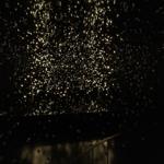 pulse_voronoi_2024_wattens_sk_131 : Landscape