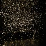 pulse_voronoi_2024_wattens_sk_133 : Landscape