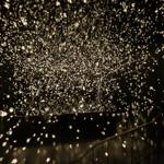pulse_voronoi_2024_wattens_sk_134 : Landscape