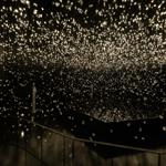 pulse_voronoi_2024_wattens_sk_137 : Landscape