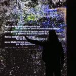 resurgent_streams_mexico_city_2026_jh_004 : Landscape