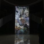 resurgent_streams_mexico_city_2026_jh_012 : Landscape