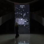 resurgent_streams_mexico_city_2026_jh_013 : Landscape