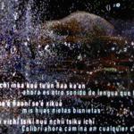 resurgent_streams_mexico_city_2026_jh_014 : Landscape