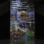 resurgent_streams_mexico_city_2026_jh_015 : Portrait