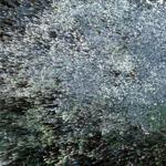 resurgent_streams_mexico_city_2026_rlh_005 : Portrait