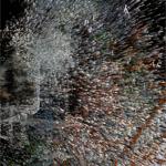 resurgent_streams_mexico_city_2026_rlh_008 : Portrait