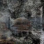 resurgent_streams_mexico_city_2026_rlh_009 : Portrait