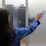 transparency_display_new_york_2024_rlh_005 : Landscape
