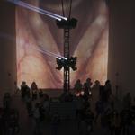 vocal_folds_chapel_hill_2021_og_014 : Landscape