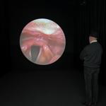 vocal_folds_sydney_2023_rlh_003 : Portrait